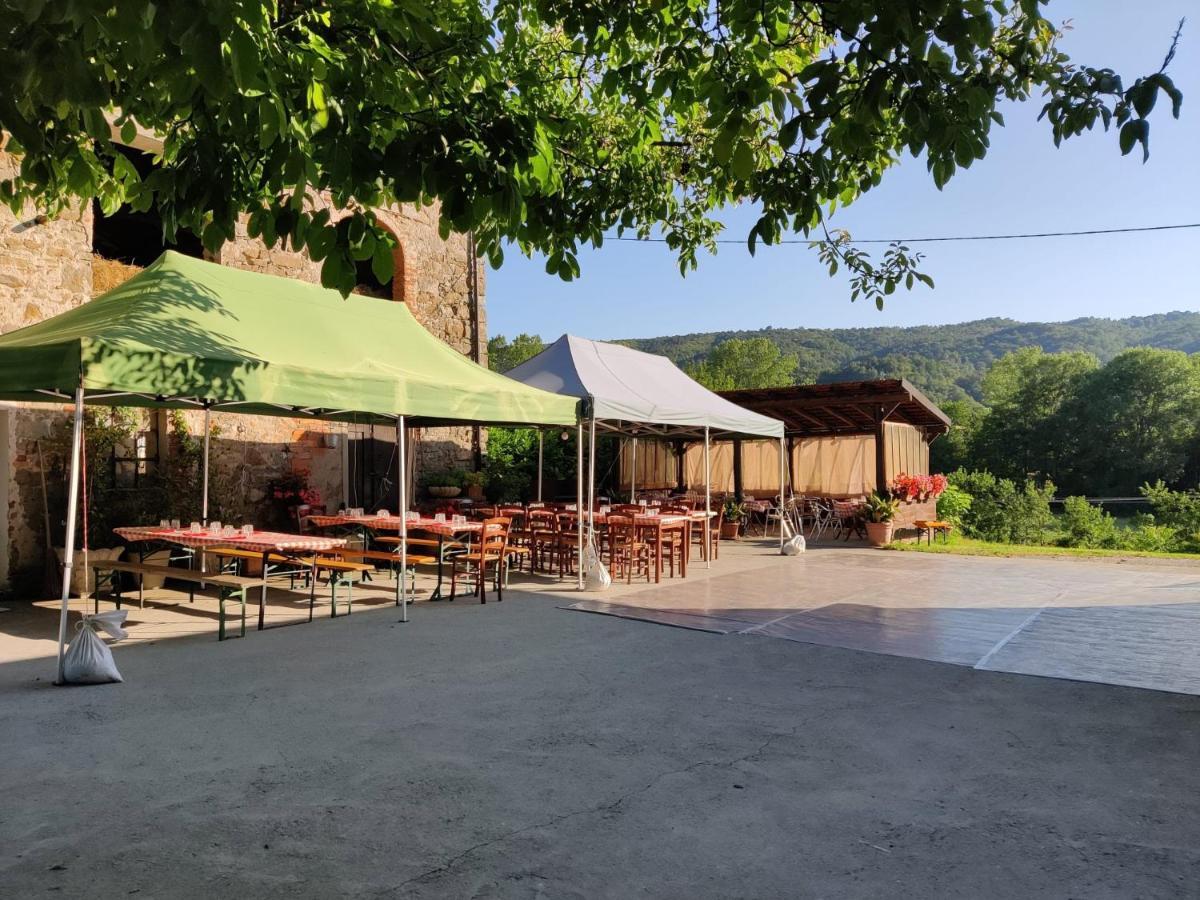 Agriturismo Munarin Caterina Mioglia Екстер'єр фото